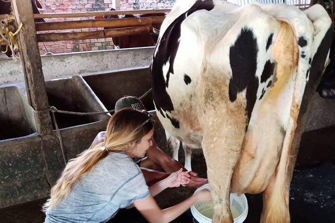 Ho Chi Minh City Full-Day Farm trip with Healthy Cooking Class - Cooking three dishes with your own hands