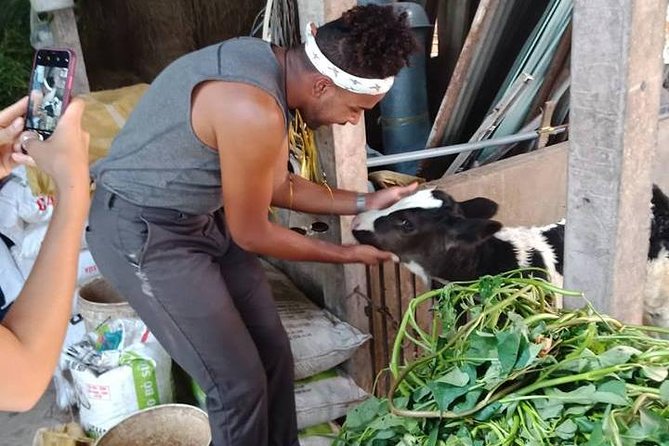 Ho Chi Minh City Full-Day Farm trip with Healthy Cooking Class - Guides and the feel of a small class
