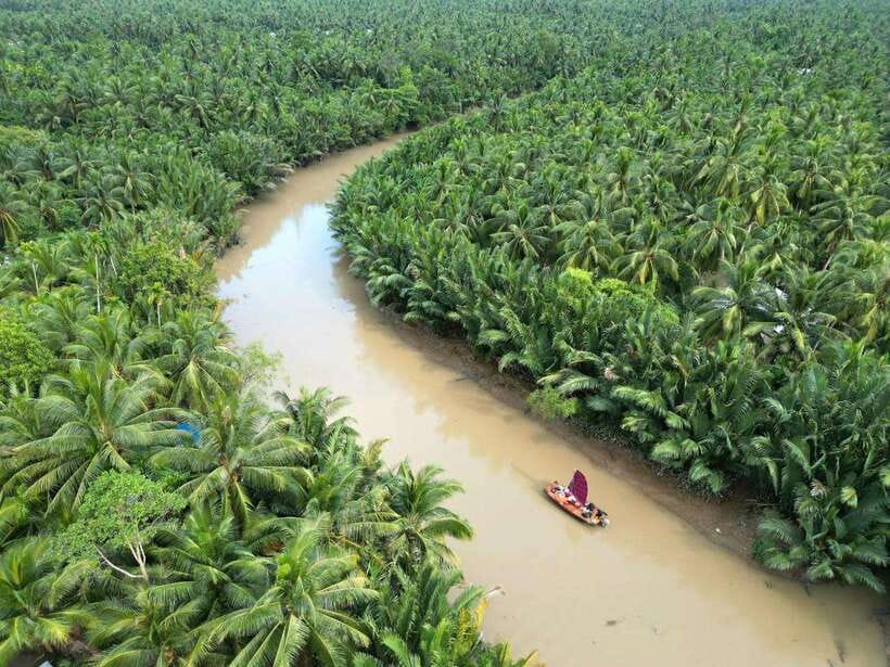 Ho Chi Minh City: Mekong Delta Day Trip with Lunch & Drinks - The early road from District 1 to Ben Tre