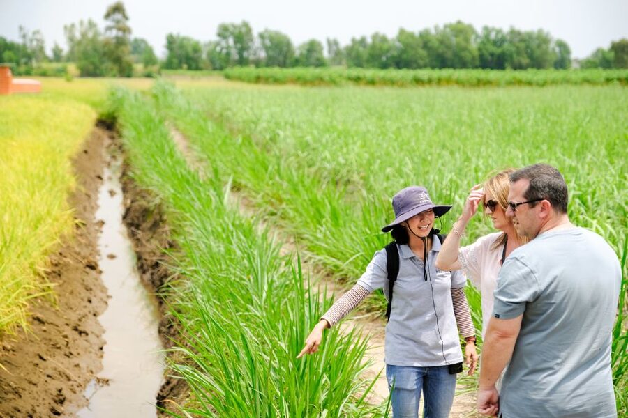 Ho Chi Minh City: Mekong Delta Full-Day Speedboat Tour - A Vietnamese lunch with plenty of food
