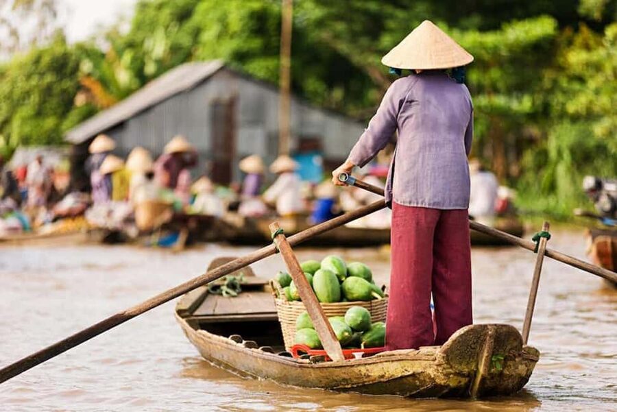 Ho Chi Minh Daily Tour: Full Day Mekong Delta (Private tour) - From Ho Chi Minh City to the Mekong Delta