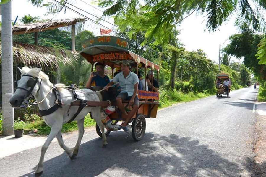 Ho Chi Minh Daily Tour: Full Day Mekong Delta (Private tour) - Honey, Fruit, and Southern Folk Music on Unicorn Island