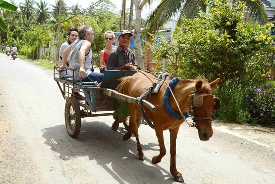 Ho Chi Minh Daily Tour: Full Day Mekong Delta (Private tour) - Lunch with Elephant Ear Fish