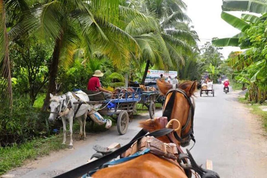 Ho Chi Minh Daily Tour: Full Day Mekong Delta (Private tour) - Returning to Ho Chi Minh City by 4:00 PM