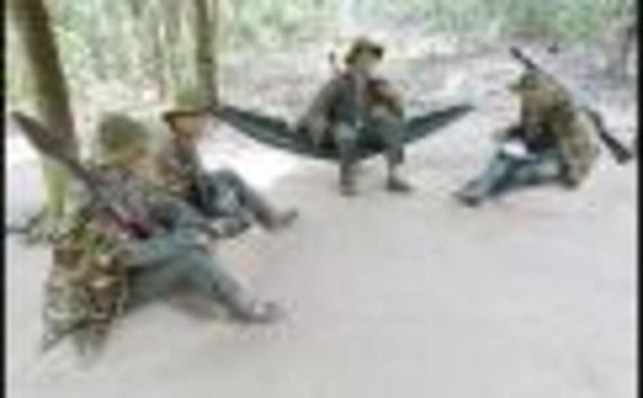 Ho Chi Minh: Discover Cu Chi Tunnels Half-Day Tour - Could you also see the War Remnants Museum?