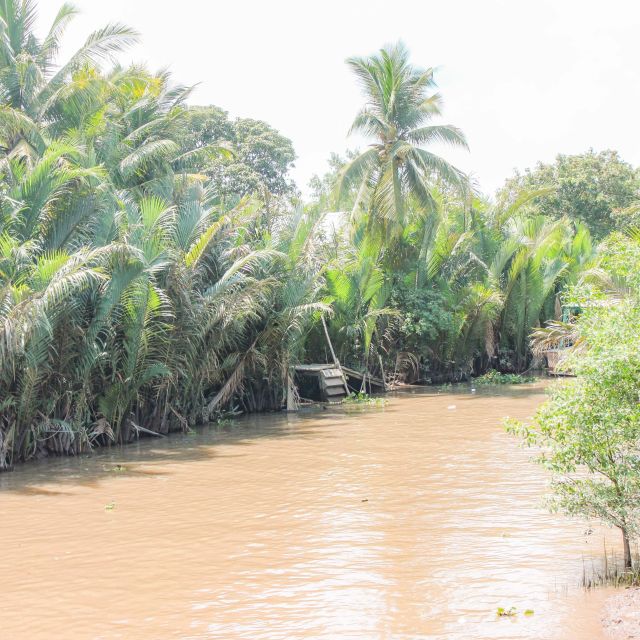 Ho Chi Minh: Mekong River Islands Private Excursion - What the private price really buys you
