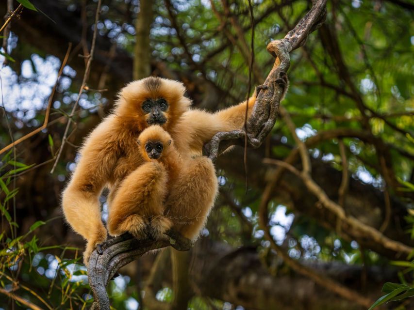 Ho Chi Minh to Cat Tien National Park – Dalat (3 days) - The guide and private format