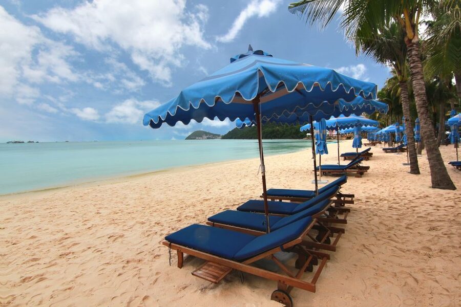 Ho Coc Beach, Nature Reserve & Dragon Fruit Farm Day Tour - What the private format changes