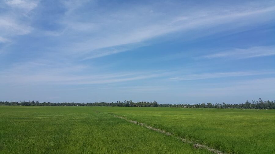 Ho Coc Beach, Nature Reserve & Dragon Fruit Farm Day Tour - Who will enjoy this day most?