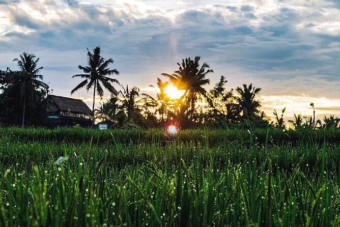 LUXURY Mekong 2 Days 1 Night SMALL GROUP Stay at Tiny Homestay with BBQ Dinner - What the $99 price covers