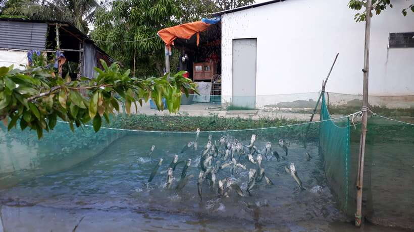 Mekong Day Tour by Car:Cai Be market, Local Island & Cycling - Who should book this Cái Bè day tour?