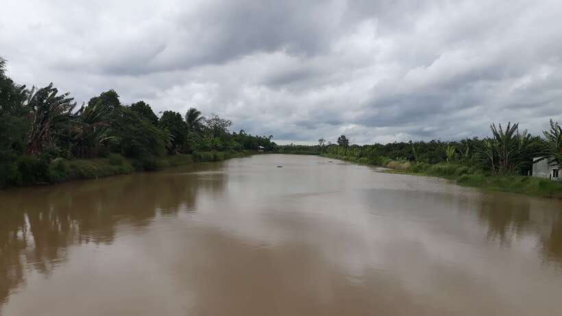 Mekong Day Tour by Car:Cai Be market, Local Island & Cycling - Returning to Ho Chi Minh City by late afternoon
