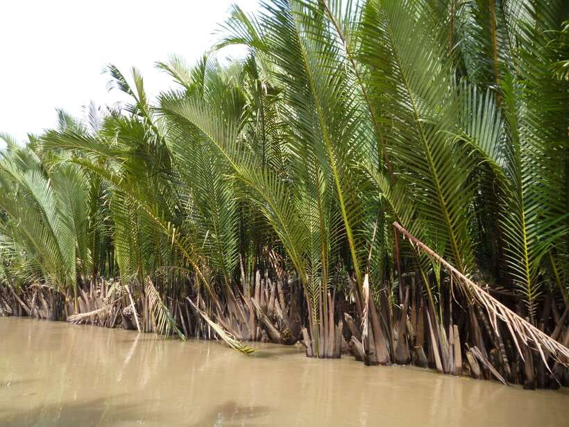 Mekong Day Tour by Car:Cai Be market, Local Island & Cycling - What the $125 price really covers