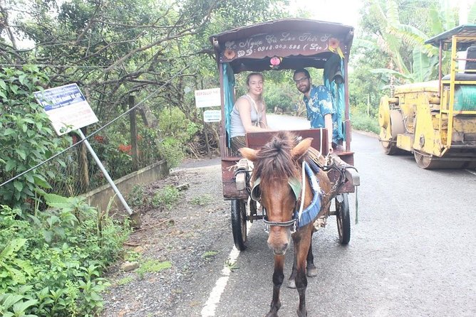 Mekong Delta Adventure by Private Car from Phu My Port - Is $230 a fair price?