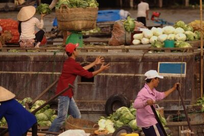 Mekong Delta Trip To Cai Be – Tan Phong Island With Lunch