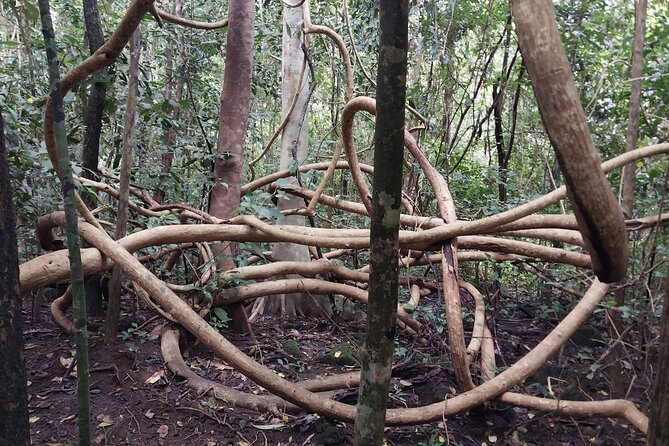 Nam Cat Tien National Park 2-Day Tour with Lodging, Meals.. - How the private format affects the value