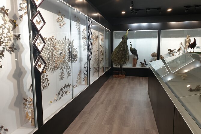 Nam Cat Tien National Park 2 Days 1 Night - Private Tour - Why Cat Tien makes a better two-day escape