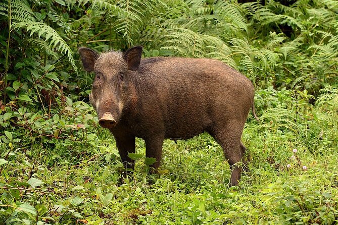 Nam Cat Tien National Park 2 Days 1 Night - Private Tour - What makes the private format worthwhile