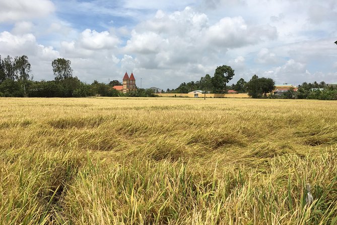 Private - An Authentic Mekong Local Version - Day Tour - Riding a scooter past rice fields and dragon fruit farms