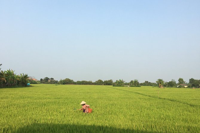 Private - An Authentic Mekong Local Version - Day Tour - Leaving Ho Chi Minh City at 7:30 am
