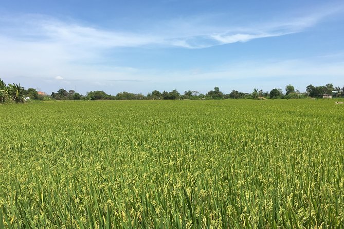 Private Authentic Mekong River Full Day Trip - Non Touristic Mekong delta - Rice wine, local customs, and cobra snake wine