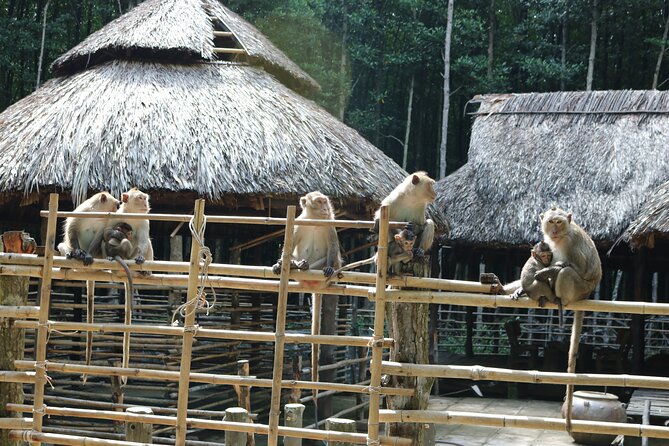 Private Can Gio Biosphere Reserve Day Trip from Ho Chi Minh City - Crocodile fishing and the lighter side of the visit
