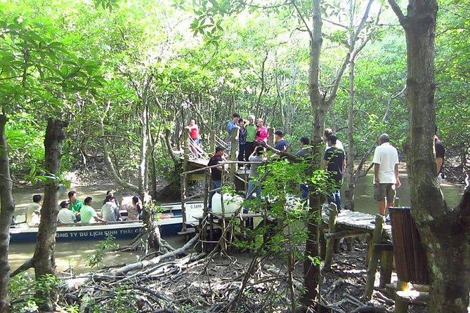 Private Can Gio Mangrove Eco Tour – Boat & Wildlife - Vam Sat canopy tower and views over the trees