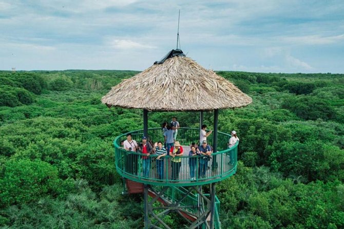 Private Can Gio Mangrove Eco Tour – Boat & Wildlife - The return to Saigon