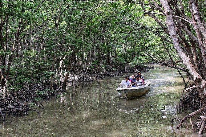 Private Can Gio Mangrove Eco Tour – Boat & Wildlife - Private pickup makes the long day easier