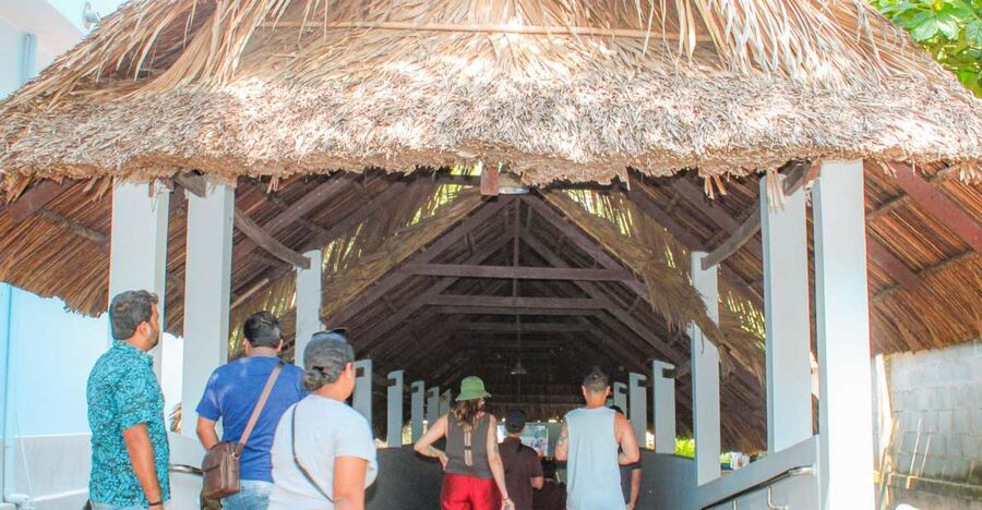 Private Cu Chi & Mekong Delta Tour: History Meets Nature - Coconut candy, honey tea, and Southern folk music
