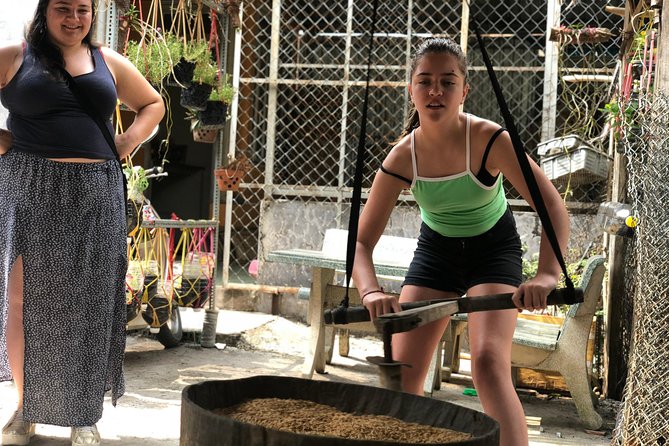 Private Cu Chi Tunnels Tour - Explore History & Off-the-path Local Sites - Entering the Cu Chi Tunnels and historical grounds