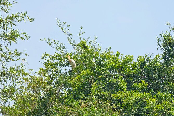Private Full Day Mekong Delta Tour to Dong Thap Muoi Wetlands - Key points before you book