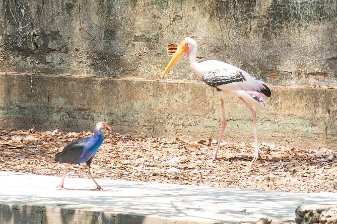 Private Full Day Mekong Delta Tour to Dong Thap Muoi Wetlands - Why Đồng Tháp Mười makes this Mekong trip different