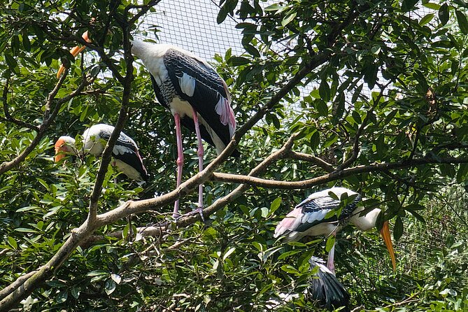Private Full Day Mekong Delta Tour to Dong Thap Muoi Wetlands - What the private format is worth at $128