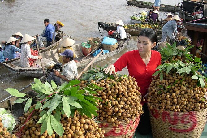 PRIVATE LUXURY Mekong Delta full day from HCM city - Leaving Ho Chi Minh City for My Tho