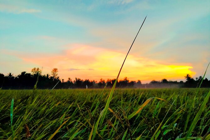 PRIVATE Mekong Delta 1 Day with Kayaking, Biking & Cooking - Why this Mekong Delta day trip works