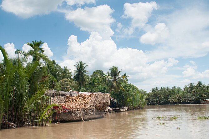 Private Mekong Delta & My Tho Full-Day Guided Tour - Who will enjoy this My Tho day trip
