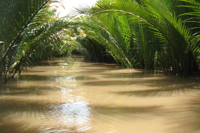 Private Mekong Delta Shore Excursions from Cruise Port - Why the Mekong Delta makes sense as a shore excursion