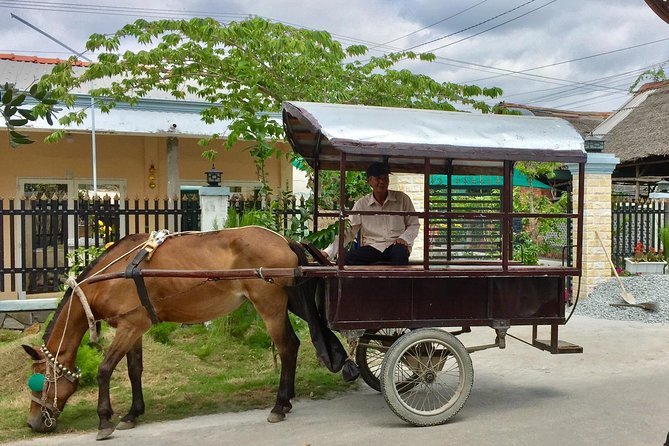 Private Mekong Delta Tour - My Tho - Ben Tre from Cruise Port - Vinh Trang Temple near My Tho