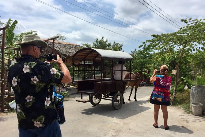 Private Mekong Delta Tour - My Tho - Ben Tre from Cruise Port - What private really changes