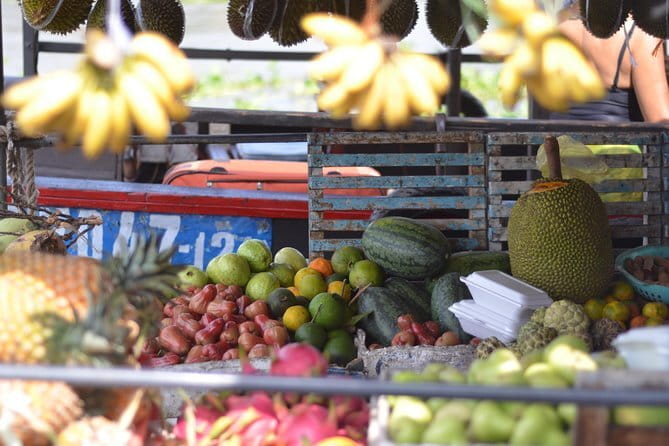 Private Mekong Delta tour to Cai Be – Tan Phong island full day - Key points at a glance