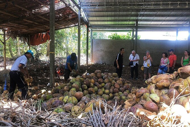 Private tour: Explore the authentic rural life in Ben Tre - The Water Palms Canal by rowing boat