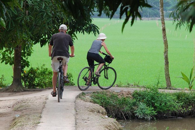 Private Tour Mekong Delta Day Trip from Ho Chi Minh City - Is $96.42 a fair price?