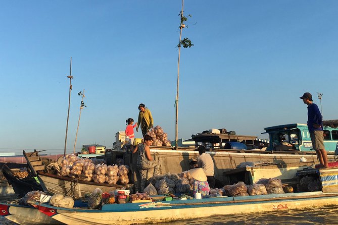 Private tour to Mekong Delta 1 day - Timing, comfort, and what to bring
