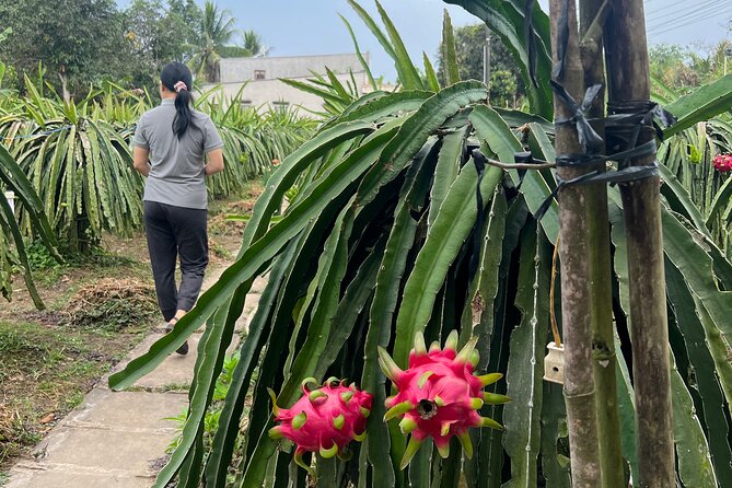 Rural Can Tho Biking Trail - Truc Lam Phuong Nam Zen Monastery