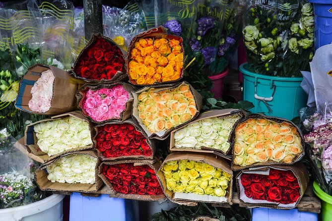 Saigon Historical City Tour - Who will get the most from this tour?
