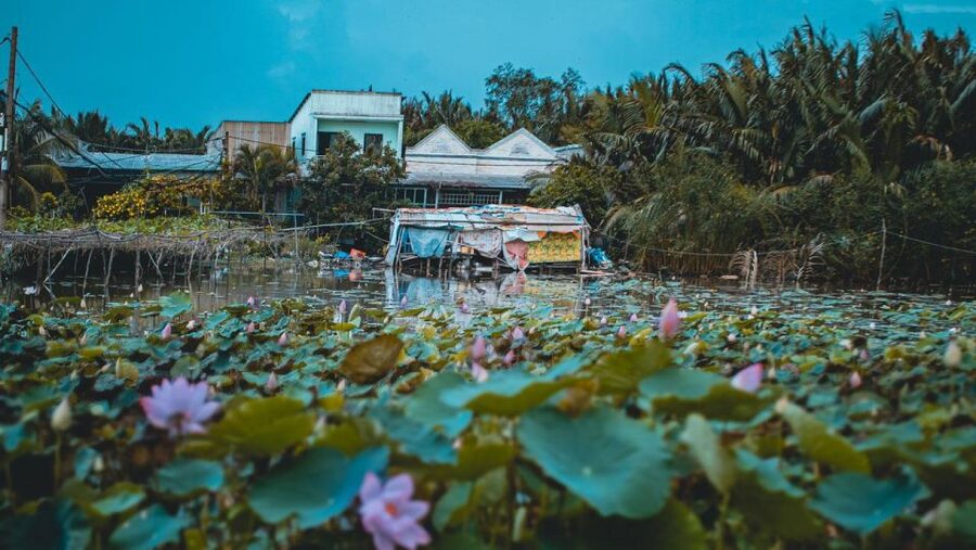 Saigon's Last Mekong Countryside Cycle Tour-Ho Chi Minh City - Stop 3: Đình Thần Bình Quới Tây