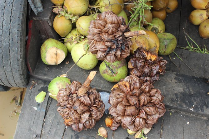 Small Group To Mekong Delta 1 Day - What the $30 price really includes
