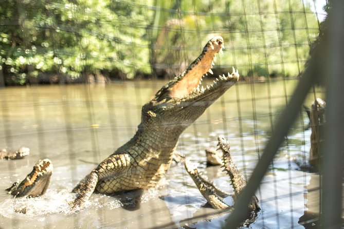 Small-Group Tour to Can Gio Vam Sat Mangrove Forest - Who will get the most from this tour