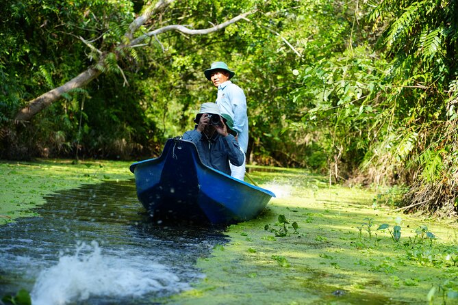 Southern Forest Tour – Explore Hau Giang Nature - Stork nests, trees, and the observation deck